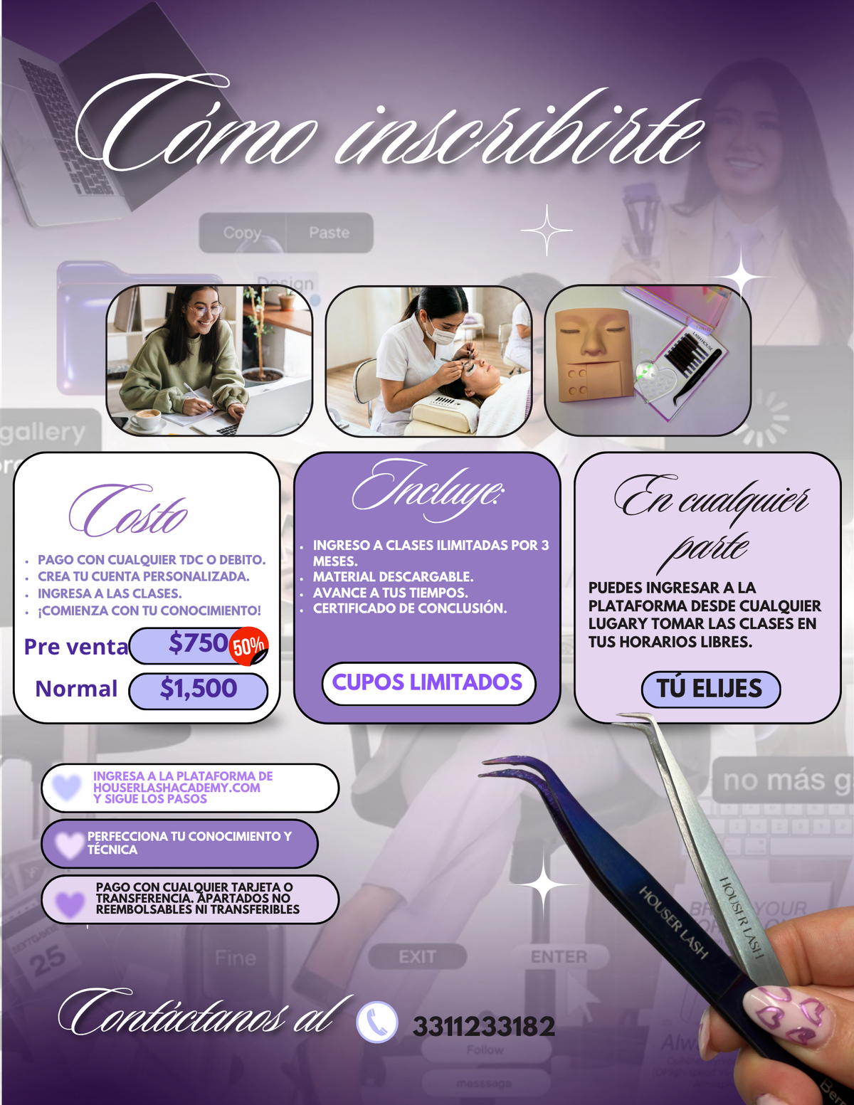 Actualización Online
